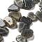 Natural Labradorite Beads Strands, Nuggets, Top Drilled, 16~17x18~23.5x6~8mm, Hole: 0.7mm, about 15pcs/strand, 7.28~7.72''(18.5~19.6cm)