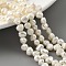 Natural Cultured Freshwater Pearl Beads Strands, Top Drilled, Two Sides Polished, Grade 3A, Old Lace, 5~5.5mm, Hole: 0.5mm, about 35pcs/strand, 6.89 inch(17.5cm)