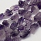 Rough Raw Natural Amethyst Beads Strands, Grade A++, Nuggets, 10~17x8~12mm, Hole: 1mm, about 27pcs/strand, 16.5 inch(41.9cm)