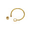 Brass Screw Carabiner Lock Charms, Ring, Raw(Unplated), 54x4mm