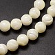 Нити бусин из ракушек SSHEL-E571-39-4mm-3