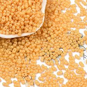 Выпечка краска стеклянные бусины SEED-L011-09A-04