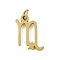 316L Surgical Stainless Steel Pendants, Constellation Charms, with Jump Ring, Golden, Sagittarius, 12.5x9.5x1.5mm, Hole: 2.5mm