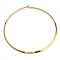 PVD Vacuum Plating 202 Stainless Steel Choker Necklaces, Rigid Necklaces for Women, Golden, Inner Diameter: 5.51 inch(14cm)