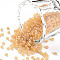 12/0 Grade A Round Glass Seed Beads, Transparent Frosted Style, AB Color Plated, Bisque, 2x1.5mm, Hole: 0.8mm, about 30000pcs/bag