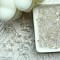 Handmade Lampwork Beads, Starfish, Clear, 14mm