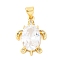 Brass Micro Pave Clear Cubic Zirconia Pendants, Cadmium Free & Lead Free, Tortoise Charms, Real 16K Gold Plated, 21.5x15.5x5.5mm, Hole: 4.5x3.5mm