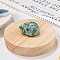 Natural Qinghai Jade Display Decorations, Reiki Energy Stone Figurine, Sleeping Cat, 33.5x39x23.5mm