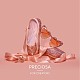 Preciosa® maxima crystal без горячей фиксации плоские камни Y-PRC-NSS6-70030-200-5