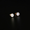 304 Stainless Steel Flat Round Stud Earrings, with Natural Shell, Golden, 8mm