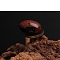 Natural Bloodstone Egg Figurines Statues for Home Office Desktop Decoration, 30x20mm