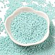 Выпечка краска стеклянные бусины SEED-P006-03A-29-2