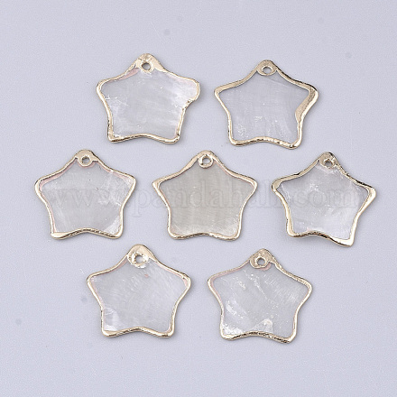 Гальванические подвески capiz shell SHEL-T012-15-1