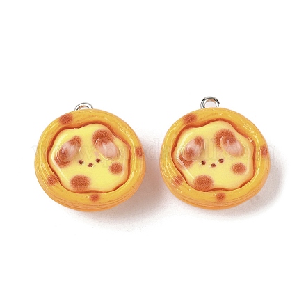 Подвески из непрозрачной смолы FIND-Z092-02P-04-1
