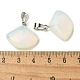 Opalite подвески G-Z067-05P-07-4