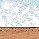Выпечка краска стеклянные бусины X-SEED-S042-05B-64-4