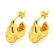 Серьги из нержавеющей стали 304 EJEW-R161-06G-1