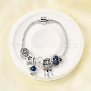 Сплав эмаль европейские бусины браслеты с подвесками BJEW-F495-19P