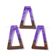 Подвески из смолы и дерева WOOD-F015-10H