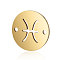 201 Stainless Steel Links connectors, Flat Round with Constellation, Golden, Pisces, 12x0.8mm, Hole: 0.8mm