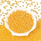Прозрачное стекло Бисер SEED-N007-33A-03-2