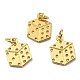 Сеттинги для кулона (стразов) из латуни  KK-K341-04G-1
