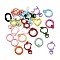 Spray Painted Alloy Clasps Set, Including Swivel Snap Hook Clasps and Spring Gate Rings, for Keychain, Mixed Shapes, Mixed Color, 17~48x10~26.5x4~7mm, Hole: 2.5~9mm