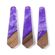 Подвески из смолы и дерева WOOD-F015-05H