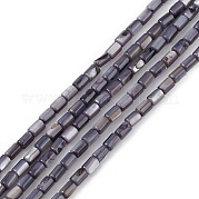 Натуральные пресноводные окрашенные бусы из ракушек SHEL-M018-12-03