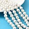 Natural Edison Pearl Beads Strands, Cultured Freshwater Pearl, Round, Grade 4A+, Seashell Color, 10~11mm, Hole: 0.6mm, about 40~42pcs/strand, 15.75~15.94''(40~40.5cm)