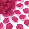 Transparent Frosted Acrylic Pendants, Petaline, Camellia, 19.5x16.5x4mm, Hole: 1.5mm