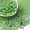 Imitation Jade Glass Seed Beads, Round, Dark Sea Green, 8x7.5mm, Hole: 1.6mm, about 681pcs/pound