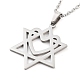 Не тускнеющие подвески из нержавеющей стали 304 NJEW-P306-08P-1