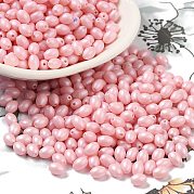 Выпечка расписных стеклянных бусин SEED-C004-04D