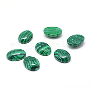 Синтетические малахитовые драгоценные камни кабошоны G-T020-13x18mm-21