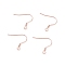 304 Stainless Steel Earring Hooks, Ear Wire, with Horizontal Loop, Rose Gold, 17~18x18~20x2mm, Hole: 2mm, 21 Gauge, Pin: 0.7mm