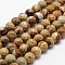Natural Picture Jasper Beads Strands, Faceted, Round, 10mm, Hole: 1mm, about 37pcs/strand, 14.9 inch~15.1 inch
