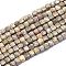 Natural Conch Fossil Beads Strands, Cube, Faceted, 6~6.5x6~6.5x6~6.5mm, Hole: 1mm, about 58pcs/Strand, 15.55 inch(39.5cm)