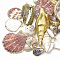 Sea Shell Pendants, Natural Color, Mixed Styles, Mixed Color, 15~86x7~51x5~30mm, Hole: 1~5mm