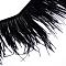 Fashion Ostrich Feather Cloth Strand Costume Accessories, Black, 100~150mm, about 10m/bag