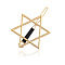 Star of David Alloy Hollow Geometric Hair Pin, Ponytail Holder Statement, Hair Accessories for Women Girls, Golden, 45x40mm