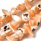 Natural Trochid Shell/Trochus Shell Beads Strands, Dyed, Nuggets, Sandy Brown, 5~22x7~15x3~8mm, Hole: 1.2mm, about 65~70pcs/strand, 14.69~15.35''(37.3~39cm)