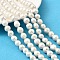 Natural Edison Pearl Beads Strands, Cultured Freshwater Pearl, Round, Grade 3A+, Seashell Color, 10~11mm, Hole: 0.6mm, about 40~42pcs/strand, 15.75~15.94''(40~40.5cm)