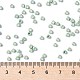 Круглые бусины toho X-SEED-TR08-PF0570F-4