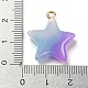 Подвески из смолы градиентного цвета FIND-Z010-01C-3