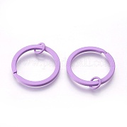 Железные брелоки с краской IFIN-L038-04-FF