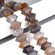 Серые натуральные бусины из агата  G-T142-56