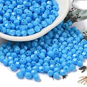 Выпечка расписных стеклянных бусин SEED-C004-01M