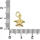 Латунь подвески ZIRC-I070-085G-3