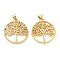 Brass Micro Pave Cubic Zirconia Pendants, Lead Free & Cadmium Free, Flat Round with Tree of Life Charms, Real 18K Gold Plated, 25x22.5x4mm, Hole: 5x3.5mm